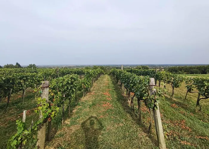 Gables Case de vacanță Zalakaros